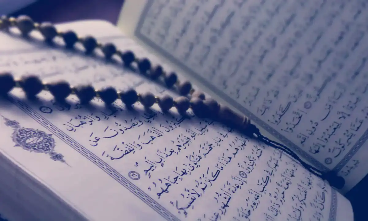 Quran Videos | Amazing voices and perfect Tajweed